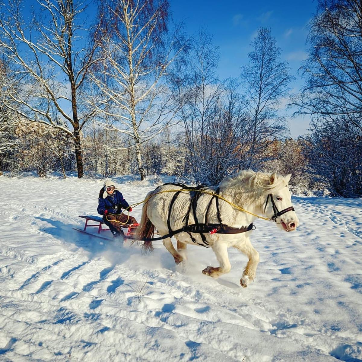 Вілла Zajacowka Поляниця-Здруй Екстер'єр фото