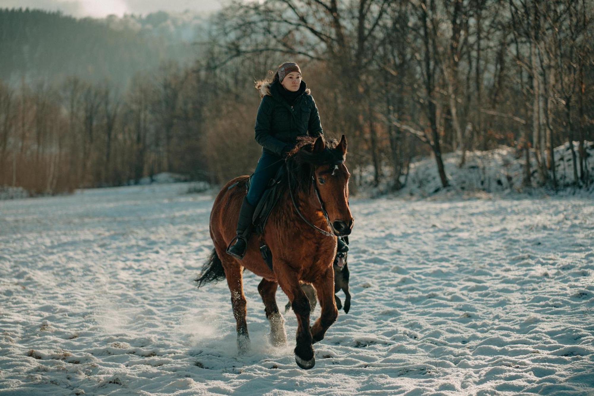 Вілла Zajacowka Поляниця-Здруй Екстер'єр фото